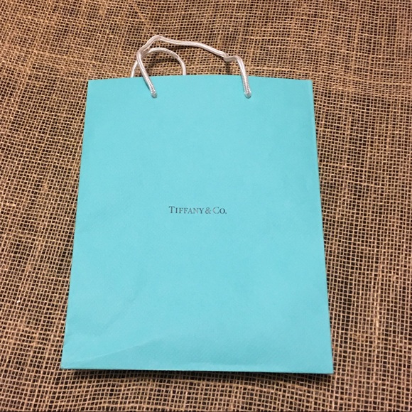 Tiffany & Co. Authentic Medium Paper Shopping Bag - Picture 7 of 7